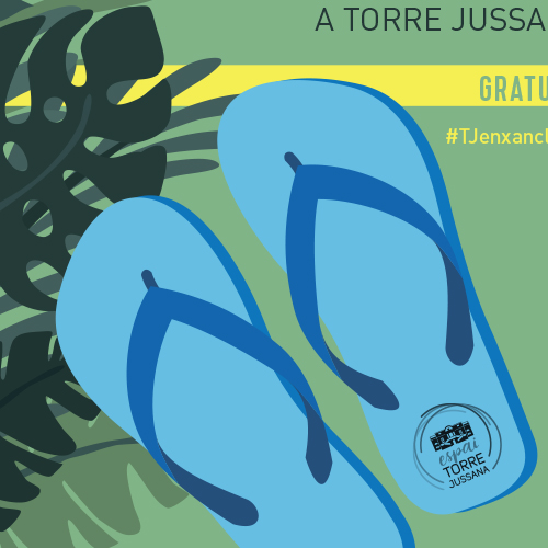 ETJ :: Pòster formacions d’estiu